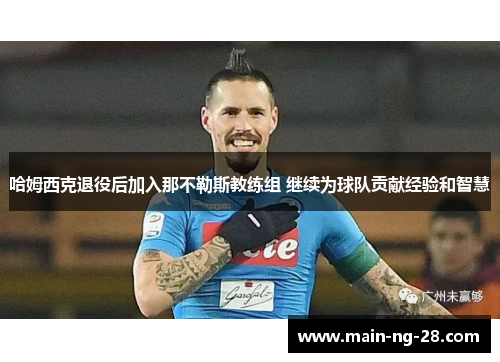 哈姆西克退役后加入那不勒斯教练组 继续为球队贡献经验和智慧 哈姆西克退役后加入那不勒斯教练组 继续为球队贡献经验和智慧